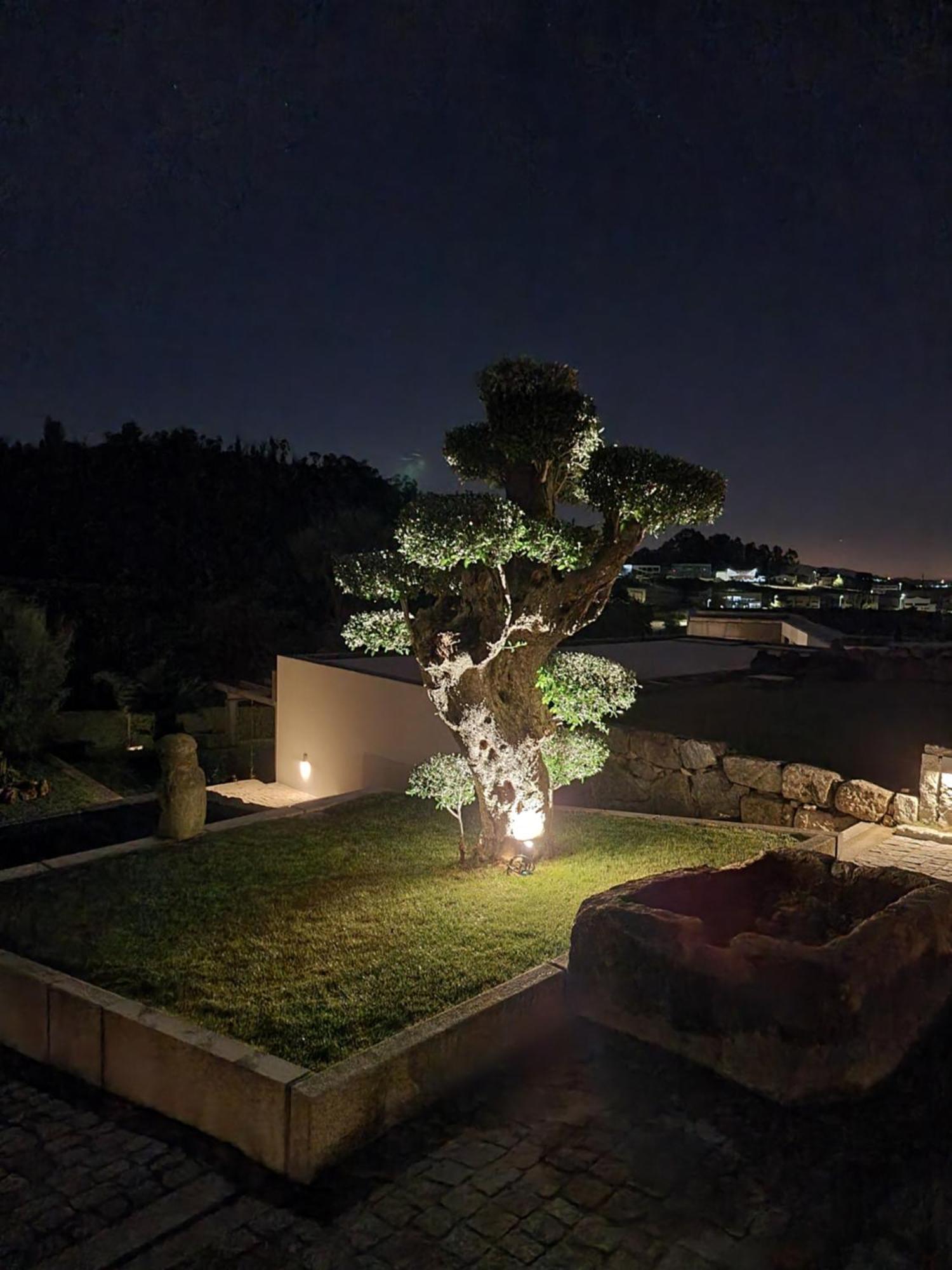 فيلا Casa Da Leira أمارانتي المظهر الخارجي الصورة
