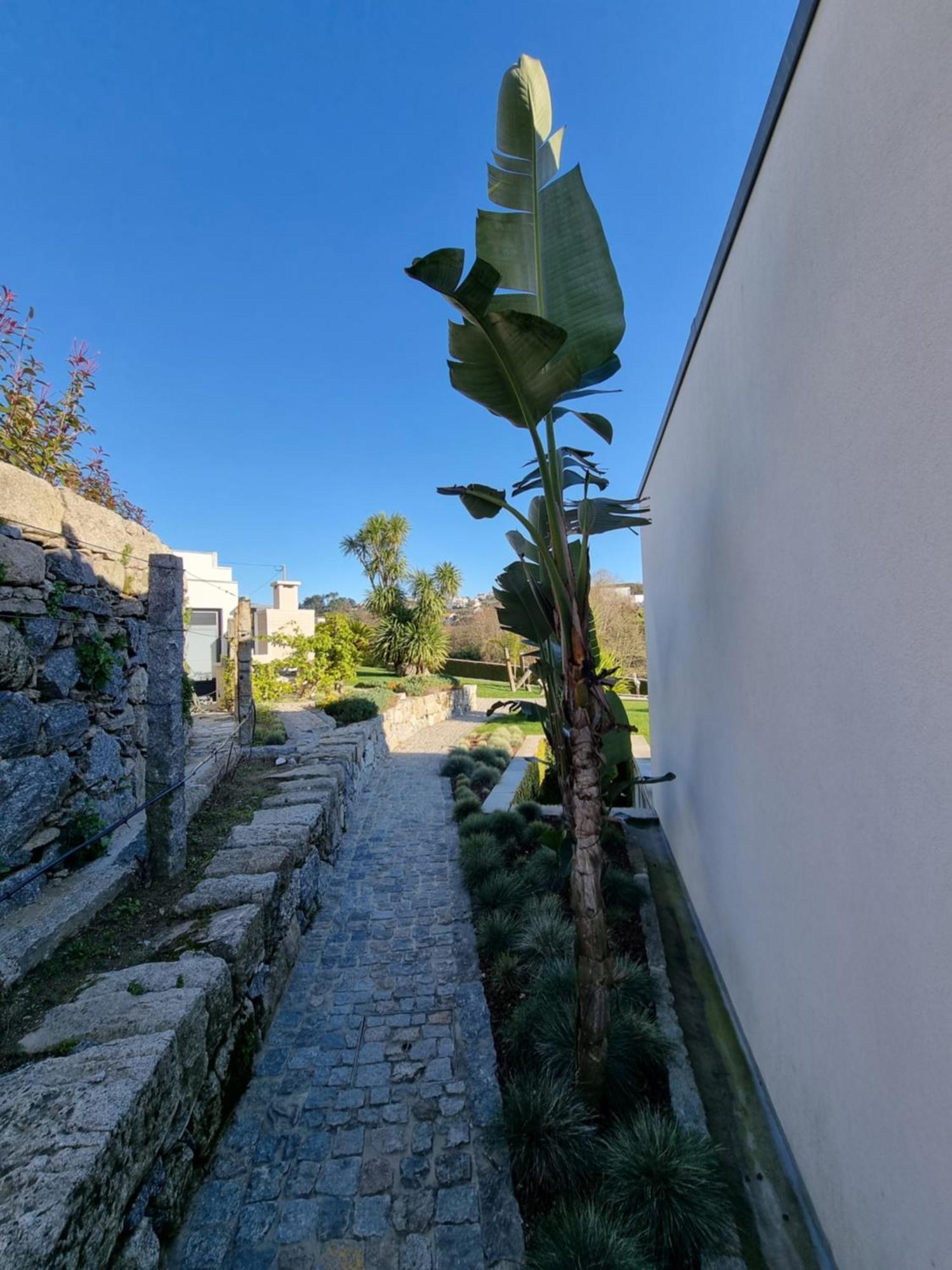 فيلا Casa Da Leira أمارانتي المظهر الخارجي الصورة