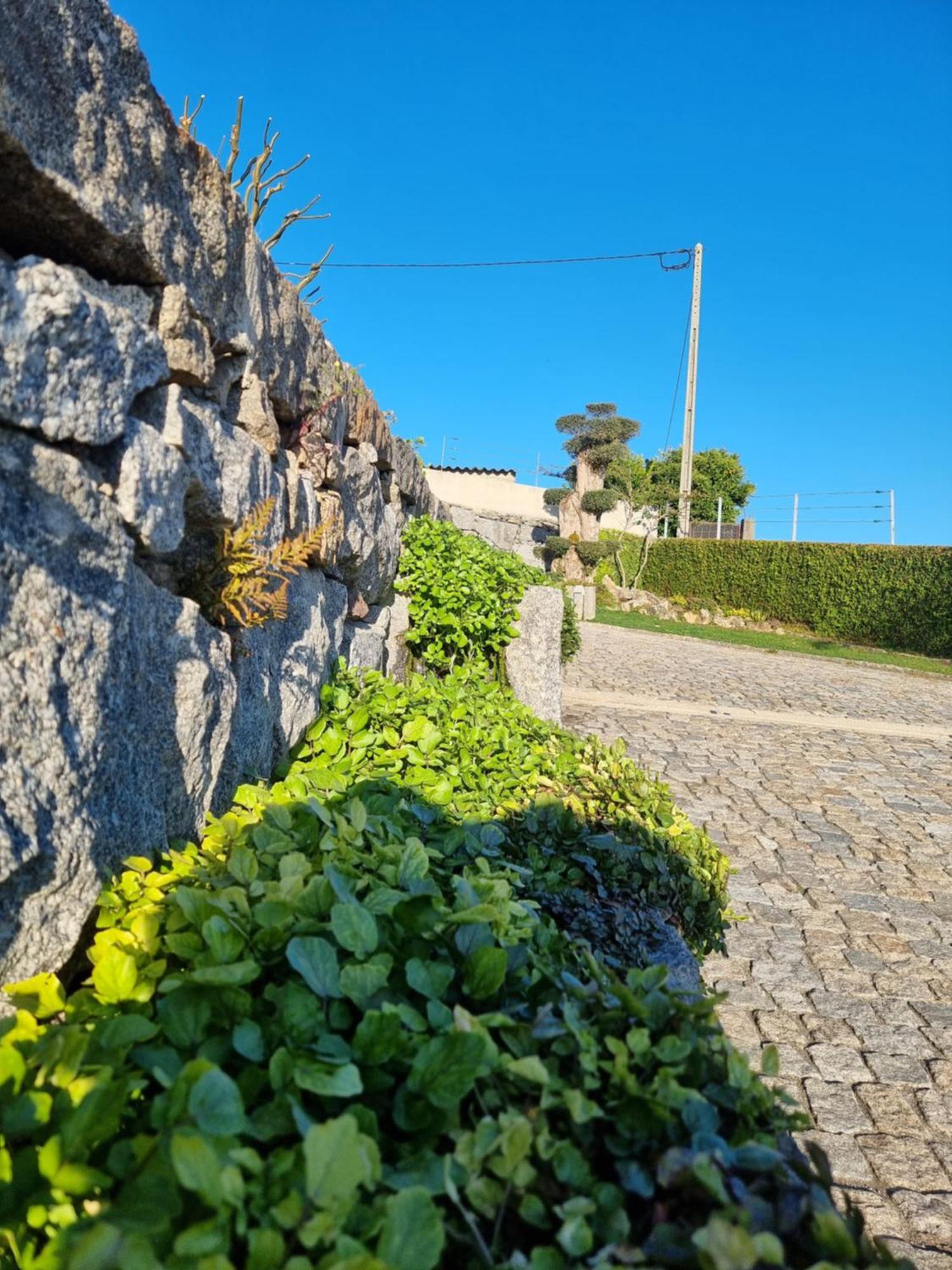 فيلا Casa Da Leira أمارانتي المظهر الخارجي الصورة