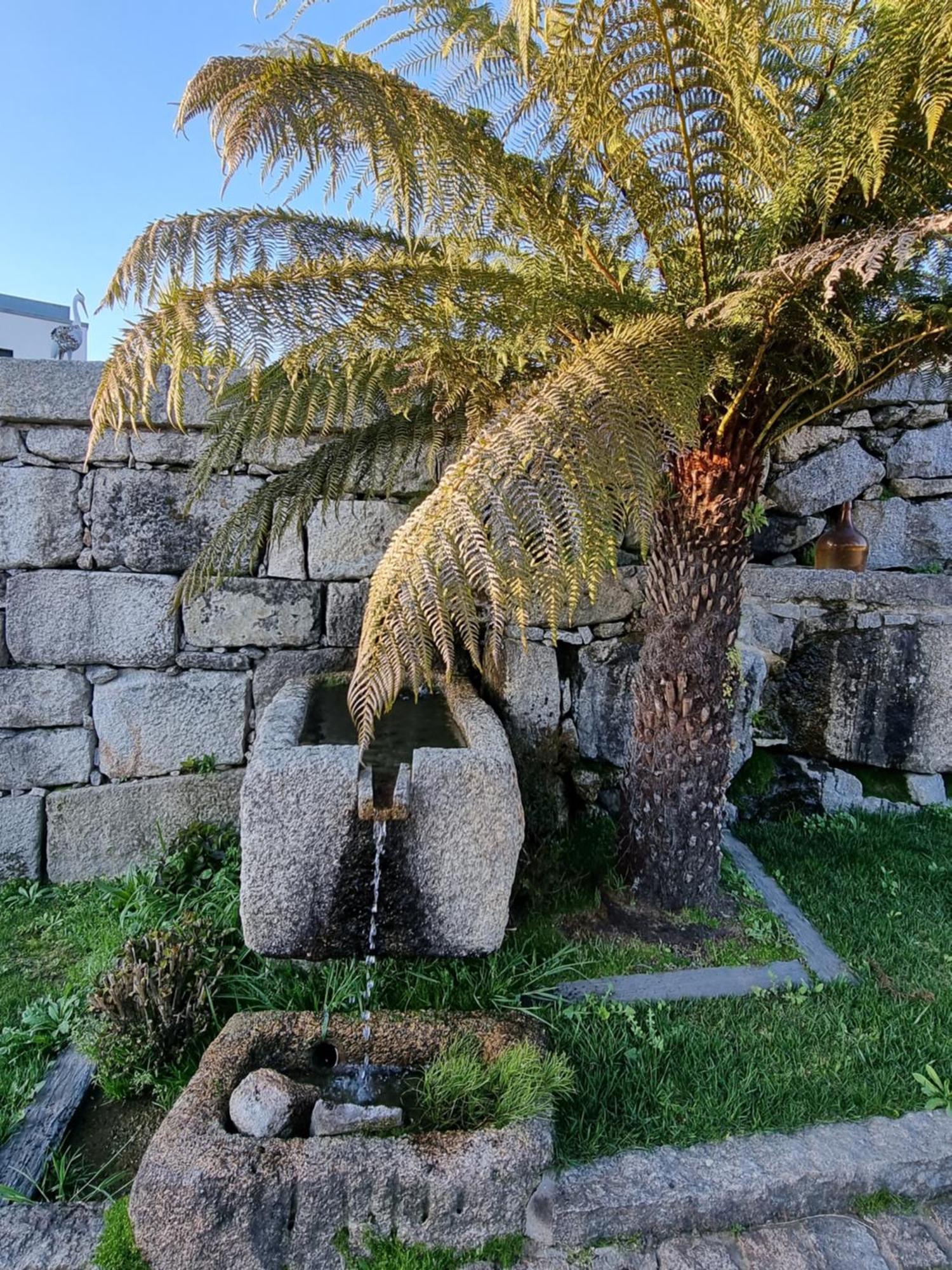 فيلا Casa Da Leira أمارانتي المظهر الخارجي الصورة
